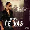 Jadiel El Tsunami - Ahora Te Vas - Single